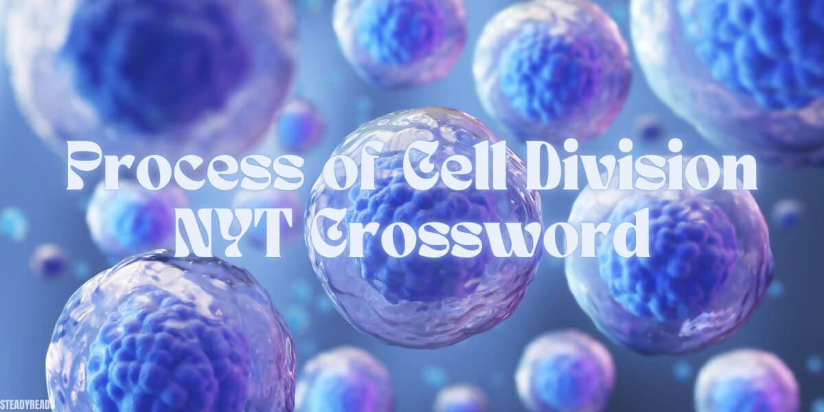 process of cell division nyt crossword