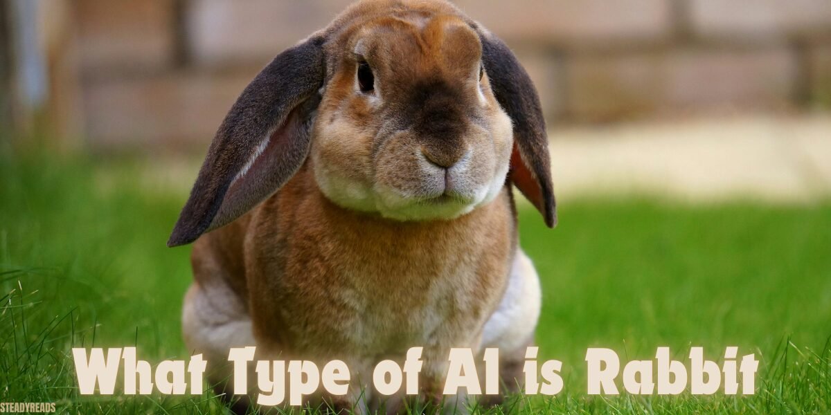 what type of a1 is rabbit